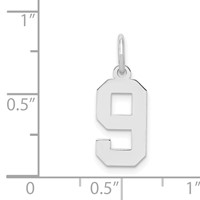 Sterling Silver Rhodium-plated Polished Number 9 Charm view 3