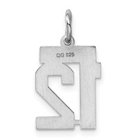 Sterling Silver Rhodium-plated Polished Number 12 Charm view 3