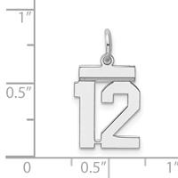 Sterling Silver Rhodium-plated Polished Number 12 Charm view 4