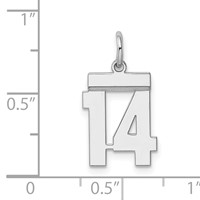 Sterling Silver Rhodium-plated Polished Number 14 Charm view 4