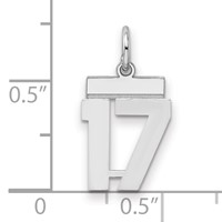 Sterling Silver Rhodium-plated Polished Number 17 Charm view 2