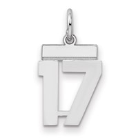 Sterling Silver Rhodium-plated Polished Number 17 Charm view 1