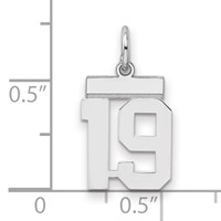 Sterling Silver Rhodium-plated Polished Number 19 Charm view 2