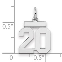 Sterling Silver Rhodium-plated Polished Number 20 Charm view 2