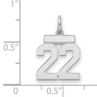 Sterling Silver Rhodium-plated Polished Number 22 Charm view 2