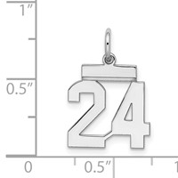 Sterling Silver Rhodium-plated Polished Number 24 Charm view 3