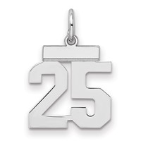 Sterling Silver Rhodium-plated Polished Number 25 Charm view 1
