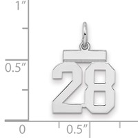 Sterling Silver Rhodium-plated Polished Number 28 Charm view 2