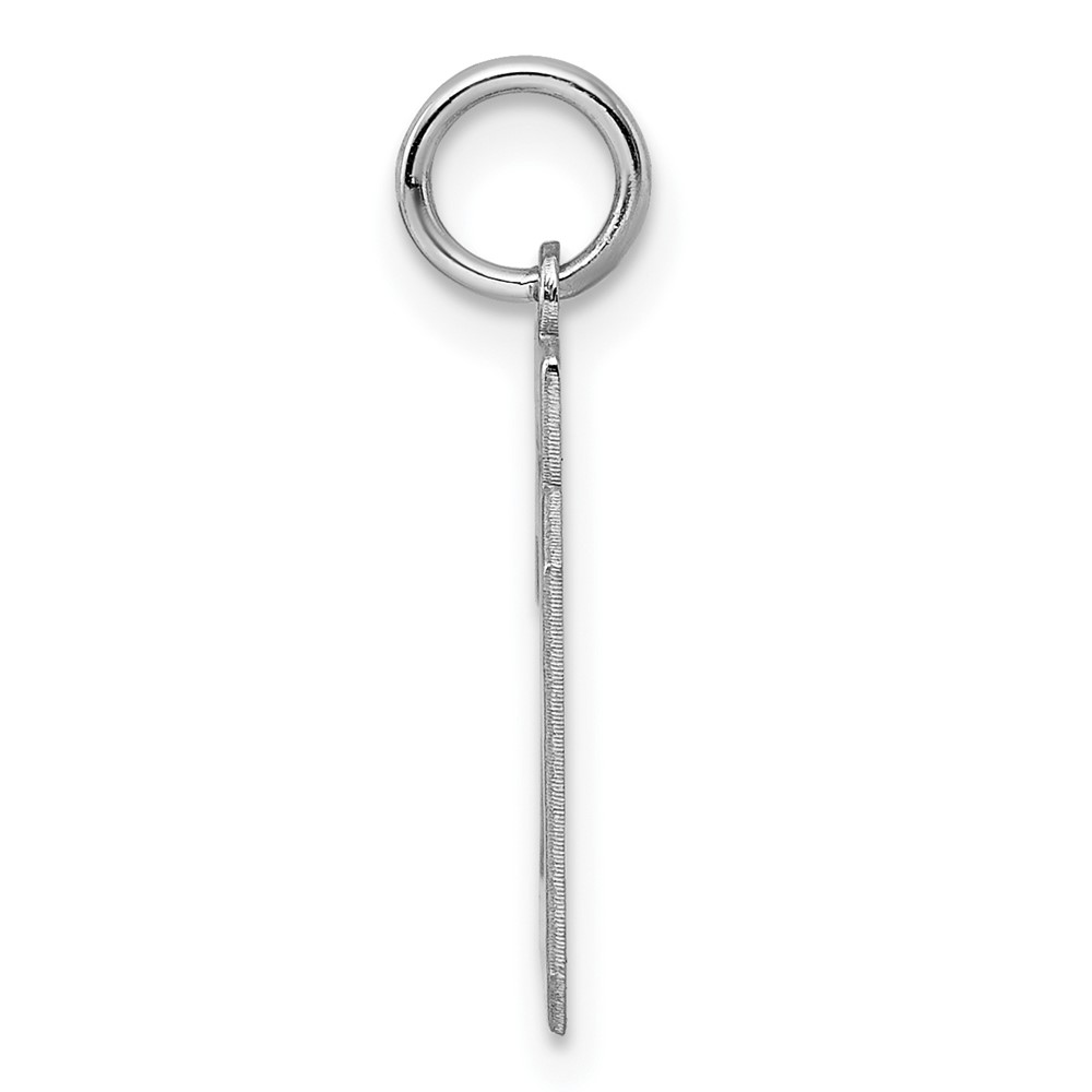 Sterling Silver/Rhodium-plated Polished Number 29 Charm (QSS29)