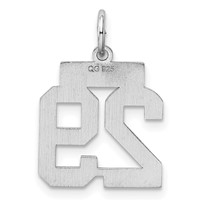 Sterling Silver Rhodium-plated Polished Number 29 Charm view 4
