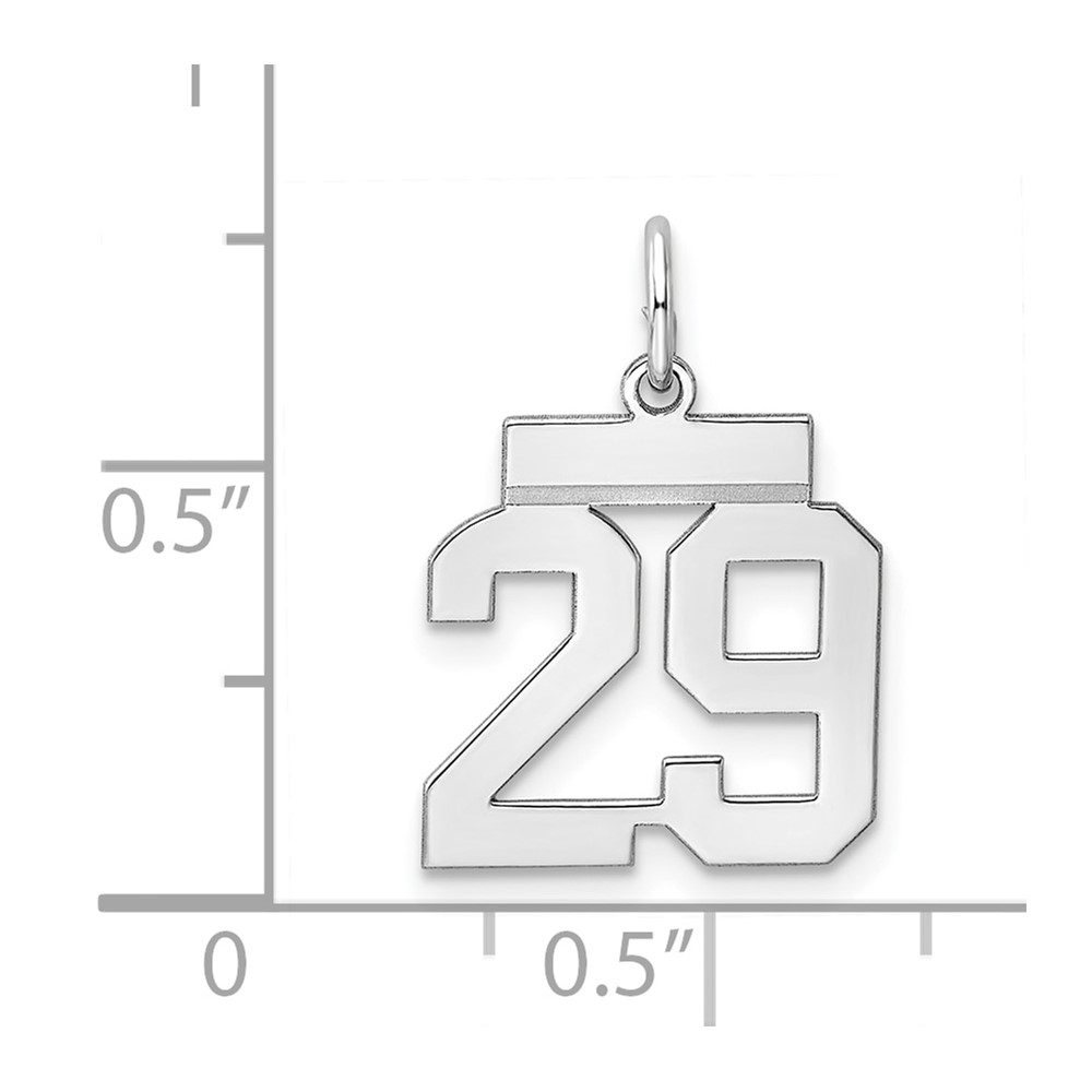 Sterling Silver/Rhodium-plated Polished Number 29 Charm (QSS29)