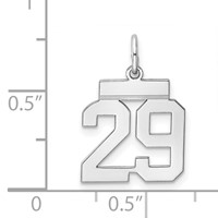 Sterling Silver Rhodium-plated Polished Number 29 Charm view 3