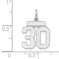 Sterling Silver Rhodium-plated Polished Number 30 Charm view 3