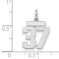 Sterling Silver Rhodium-plated Polished Number 37 Charm view 2