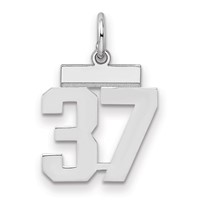 Sterling Silver Rhodium-plated Polished Number 37 Charm view 1