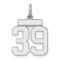 Sterling Silver Rhodium-plated Polished Number 39 Charm view 1
