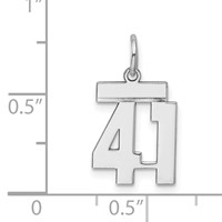 Sterling Silver Rhodium-plated Polished Number 41 Charm view 3