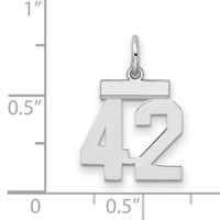Sterling Silver Rhodium-plated Polished Number 42 Charm view 2