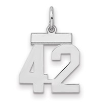 Sterling Silver Rhodium-plated Polished Number 42 Charm view 1