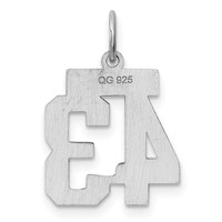Sterling Silver Rhodium-plated Polished Number 43 Charm view 4
