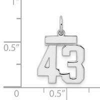Sterling Silver Rhodium-plated Polished Number 43 Charm view 3