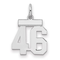 Sterling Silver Rhodium-plated Polished Number 46 Charm view 1
