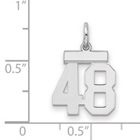 Sterling Silver Rhodium-plated Polished Number 48 Charm view 2