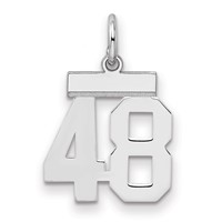 Sterling Silver Rhodium-plated Polished Number 48 Charm view 1