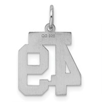 Sterling Silver Rhodium-plated Polished Number 49 Charm view 4