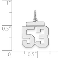 Sterling Silver Rhodium-plated Polished Number 53 Charm view 3