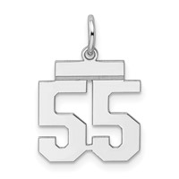 Sterling Silver Rhodium-plated Polished Number 55 Charm view 1