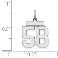 Sterling Silver Rhodium-plated Polished Number 58 Charm view 3