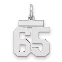 Sterling Silver Rhodium-plated Polished Number 65 Charm view 1