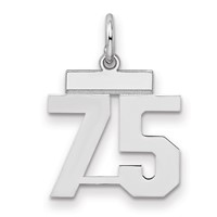 Sterling Silver Rhodium-plated Polished Number 75 Charm view 1