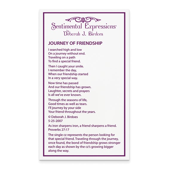 Sentimental Expressions Sterling Silver Rhodium-plated CZ Journey of Friendship 18in Necklace