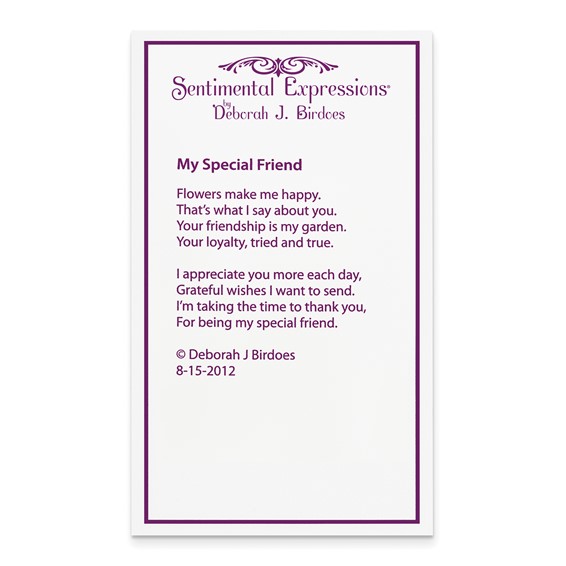 Sentimental Expressions Sterling Silver Rhodium-plated CZ My Special Friend 18in. Necklace