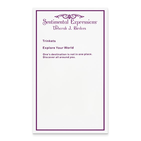 Sentimental Expressions Sterling Silver Rhodium-plated CZ Explore Your World 14in. Necklace with 2in. ext