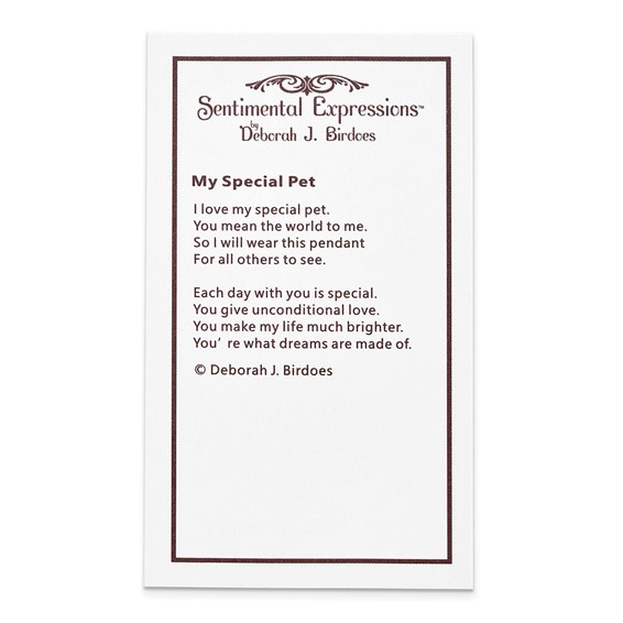 Sentimental Expressions Sterling Silver Rhodium-plated CZ My Special Pet Heart 18in Necklace