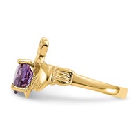 14K Yellow Gold February CZ Heart Birthstone Claddagh Ring view 4