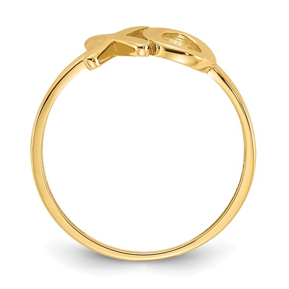Gold Polished X & O Rings
