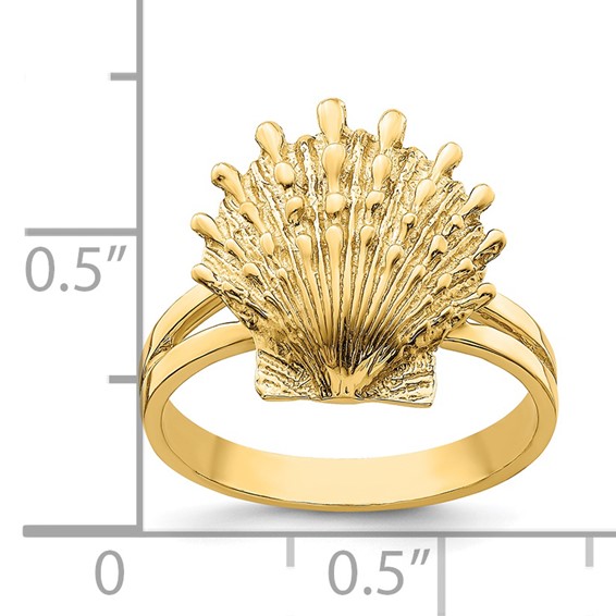 14K Lions Paw Shell Ring
