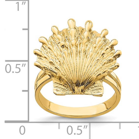 14K Lions Paw Shell Ring