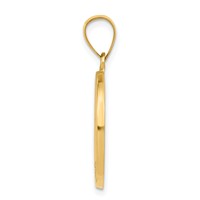 14K Yellow Gold Polished and Satin Hollow Confirmation Pendant with Cross Medal Round view 2