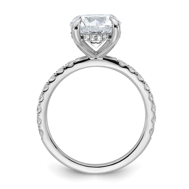 14k White Gold 3 1/2 carat Lab Grown Diamond VS/SI+ G+ Complete Flair Round Engagement Ring