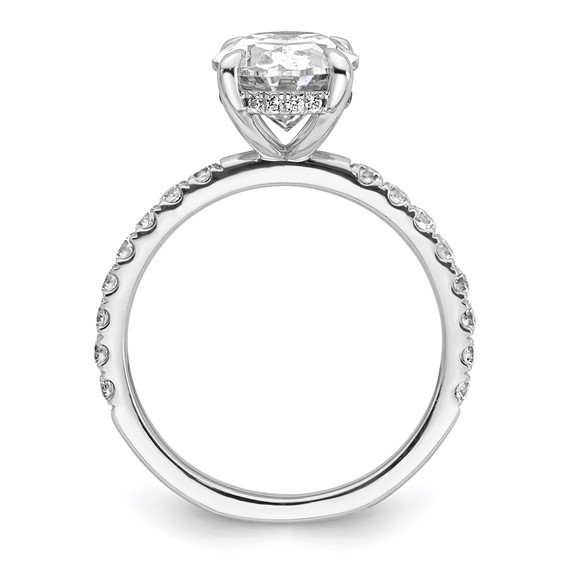 14k White Gold 3 1/2 carat Certified Lab Grown Diamond VS/SI+ G+ Oval Complete Solitaire with Flair Engagement Ring