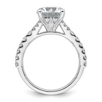 14K White Gold 3 Carat Certified Lab Grown Diamond VS SI+ G+ Round Complete Engagement Ring view 2