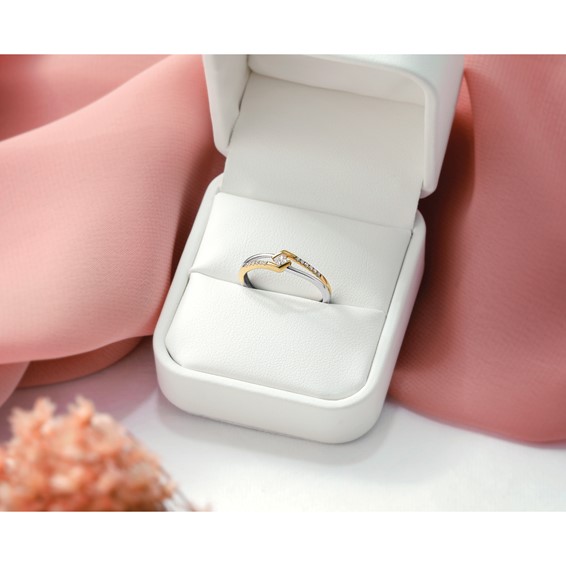 14K Two-tone Complete Diamond Promise Ring