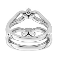 14K White Gold 0.75ct Lab Grown Dia VS+ F+ Complete Ring Guard view 5