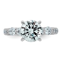 14K White Gold 2.62ct Cert Rd Ctr Lab Grown Dia VS+ F+ Ring with Round Sides Comp view 4