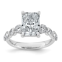 14K White Gold 4ct Cert. Radiant Ctr LabGrown Dia VS+ F+ Ring with Round Sides Comp view 1